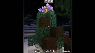 How To Make Christmas Tree🎄In Minecraft | #minecraft #shorts