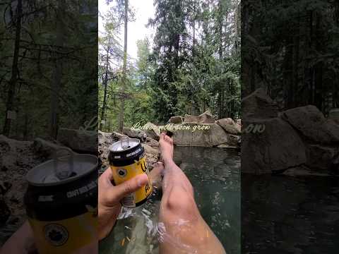 Trusting the process #spring #leaves #benandben #relaxingmusic #shorts