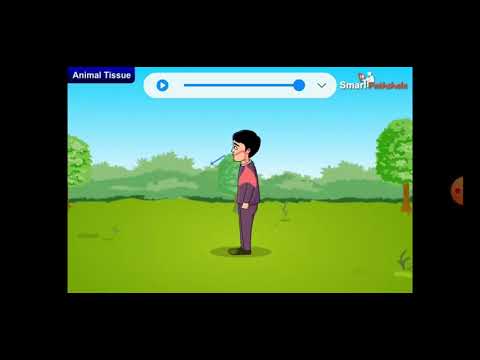 class 9 chapter 6 science part-2