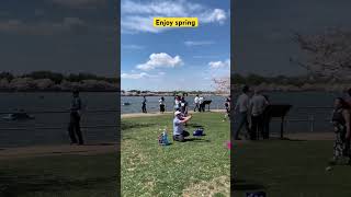 Enjoy spring  by the tidal basin #springvibes #cherry #tidalbasin #washingtondc