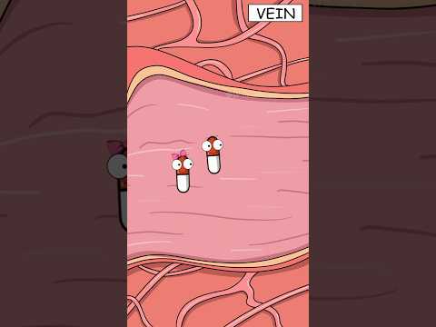 How do painkillers actually find the pain? #shorts