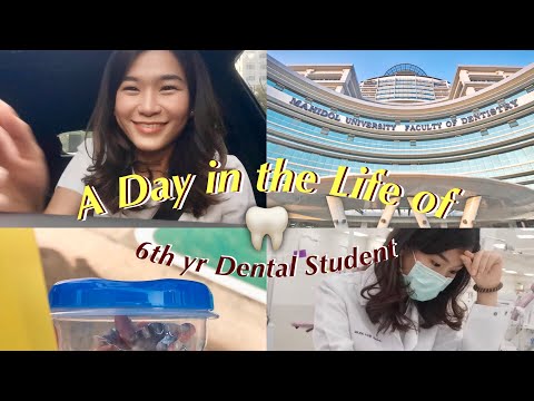 [Eng Sub] 1 วันกับนักศึกษาทันตแพทย์ ปี 6 มหิดล | A Day in the Life of a Mahidol Dental Student