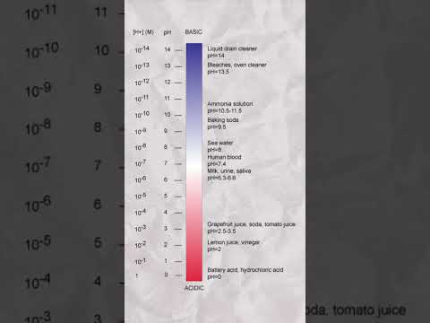 The human stomach is very acidic!