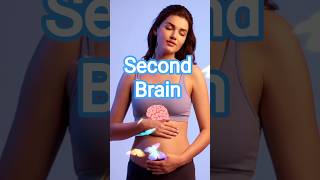 💡 Your Gut Has a Brain Too! | The Enteric Nervous System 🧠 #anatomy #medicalanimation