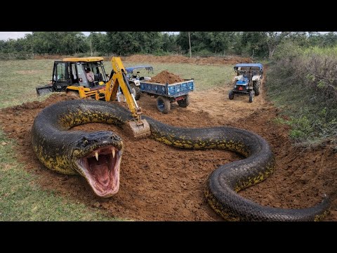 JCB 3dx Backhoe Machine Loading Mud in Mahindra 575 Tractor Trolley , TATA Dump Truck And Thar Car