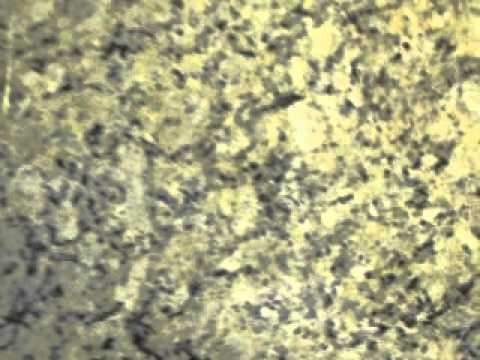 blanco tulum y santa cecilia rossello