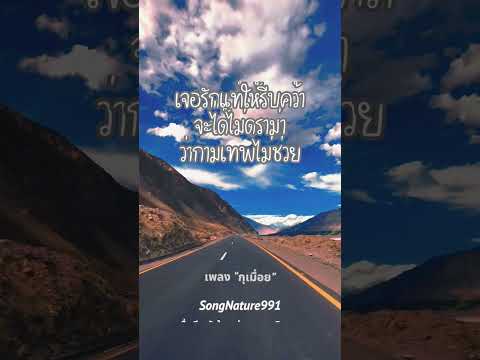 กามเทพขอบ่นหน่อย  #เพลงเพราะ #cover #music #songnature991 #coversong #song #เพลงชิลๆ #เพลง