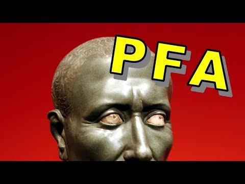 Latein leicht verstehen! - Das PFA
