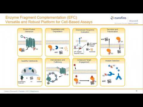 Accelerating COVID-19 Drug Discovery: Qualified Assays for Proinflammatory Cytokines