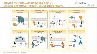 Accelerating COVID-19 Drug Discovery: Qualified Assays for Proinflammatory Cytokines