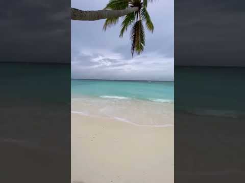 Finally found that windows screensaver location #maldives #travel #viralvideo