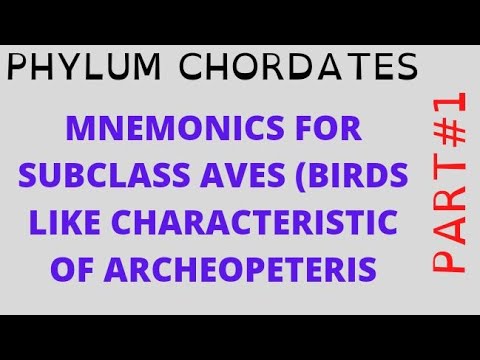 Mnemonics Of Subclass Aves Birds Like Characteristic Of Archeopeteris || Phylum Chordates||