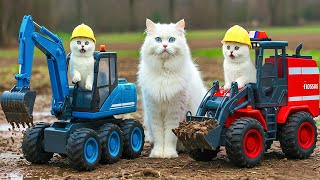 Mama Cat Trims Fur on the Farm and Makes Tiger Hat For Kittens At Home🐾🎩🐯