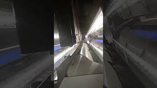 Cumin seeds| MARK | #wheat#sorter#color_sorter#best_machine