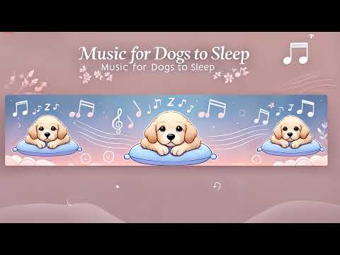 Dog SLEEP