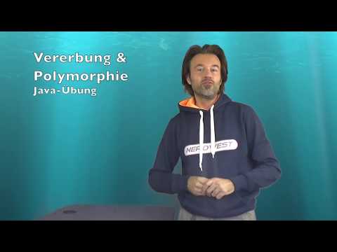 Java exercise on inheritance and polymorphism