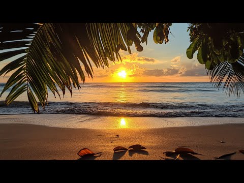 música relaxante para um dia feliz