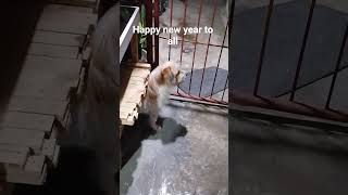 sumabay sa ingay #baguio #tsiki #travel