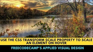 freeCodeCamp's  Use the CSS Transform scale Property to Scale an Element on Hover