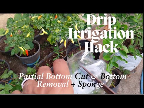 💧 Drip Irrigation Bottle Hack – No More Leaks or Hassle! 🌱