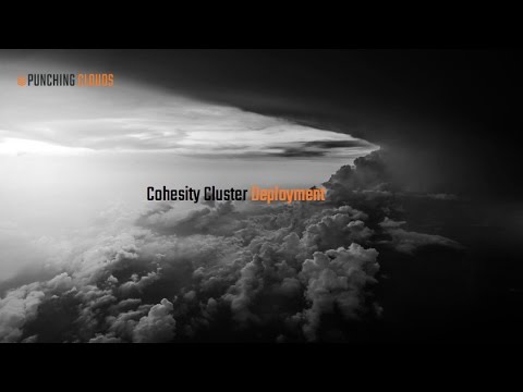 Cohesity Data Management Cluster Deployment