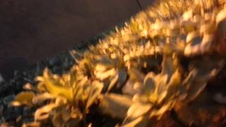 Just having fun with friends