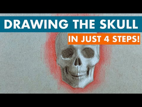 Drawing the Skull in 4 Steps!