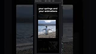 🐧 pngwn gives us a masterclass in making our web apps feel native 👨‍🏫