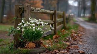 🎵 A Moment for Myself 💙 Music for Inner Peace #14