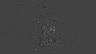 Generative Art:  #YEG 011 Alberta Future Art . Digital Art