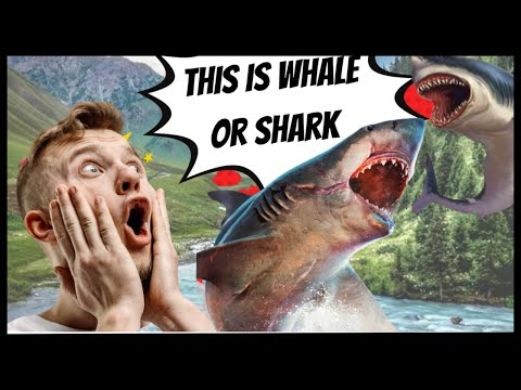 biggest fish on the world not shark| top 10 fish in the world#shortfeed#viral#youtubeshorts