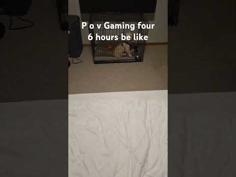 P o v Gaming  four 6 hours