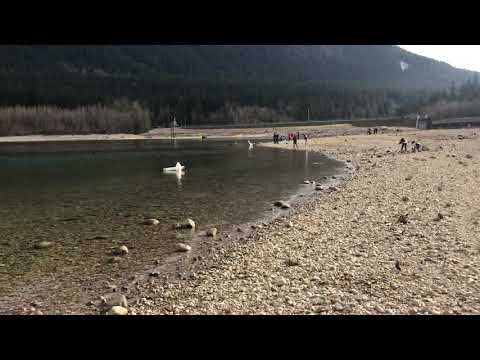 Golden Ears Park 27Feb2021