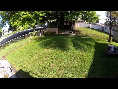 Quad Maiden