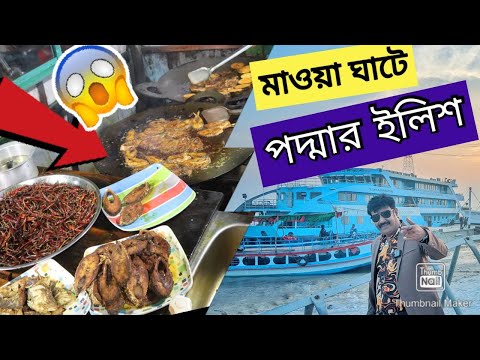 পদ্মার পথে সুস্বাদু ইলিশ খেতে মাওয়া ঘাটে / Eating Hilsa Fish in Mawa Ghat