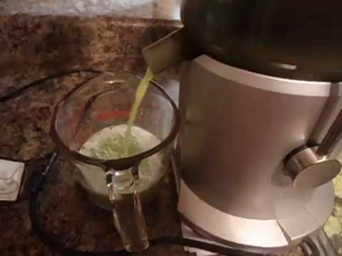 Celery Juice - A cure for Gout