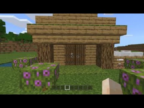 Minecraft House