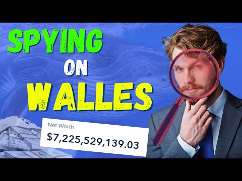 FIND Crypto Whales & Whale Watching TUTORIAL + SPYING on a 7 BILLION Dollar Crypto Whale! (EXPOSED)