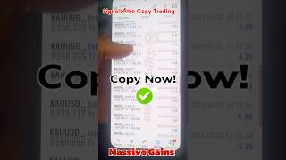 COPY TRADING RESULTS