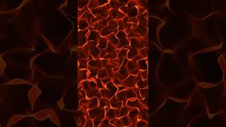 Worldwide Trending 4K VJ Loop | #verticalvideo Wave Background Multicolor Soft Smooth Abstract