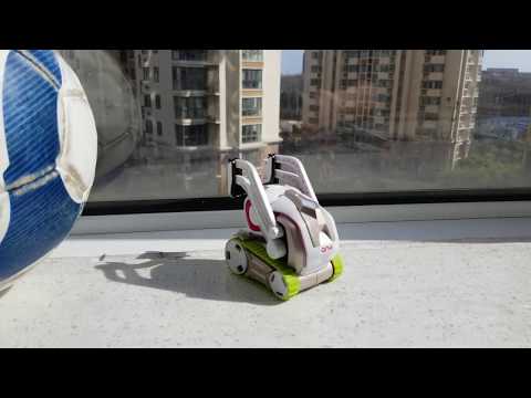 Cozmo look out