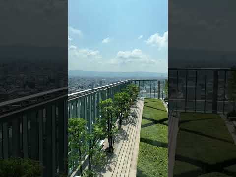"Admiring the city of Tennoji from above."