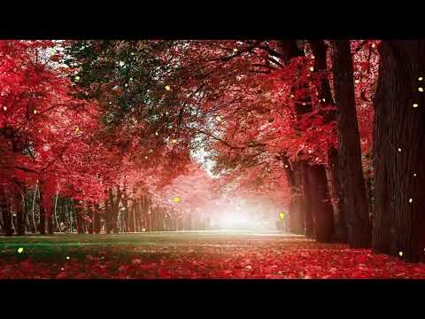 30 Minutes of Beautiful Romantic Music   Guitar Music, Violin Music, Cello Music, Piano music