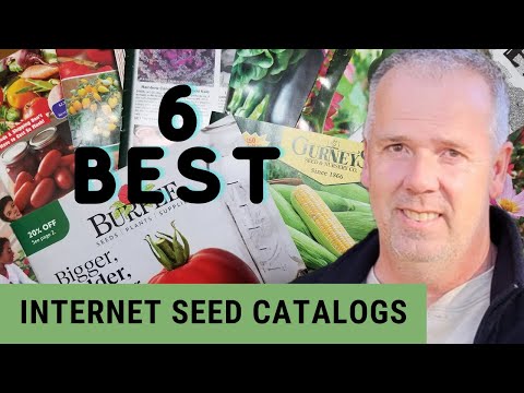 Best Internet Seed Companies 2022