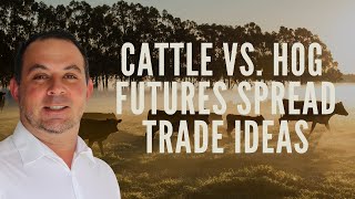 Live Cattle Lean Hog Futures Spread Trade (Learn It!)