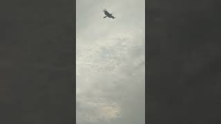 आखिर कैसा दिखता है चंद्रमा Real video 🤣🤣funny  video comedy video viral video