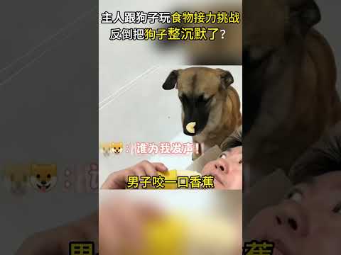 狗子：它们朝我扔香蕉，我却拿香蕉敷面膜 #搞笑 #趣闻