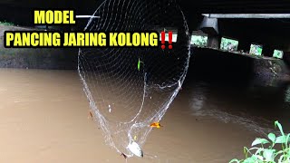 Mancing jaring kolong memang asyik sekali untuk dapat ikan nila‼️