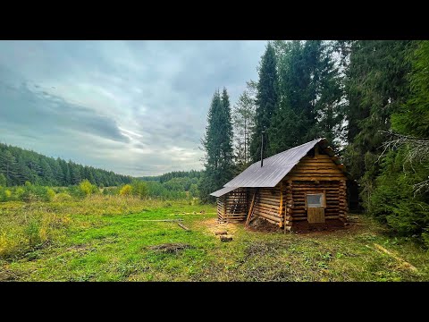 Log cabin on the edge of the forest. Construction of an extension for firewood.