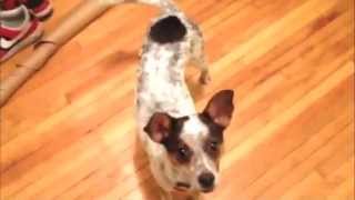 Mindy's Acting Reel - Debut of an up and coming star.